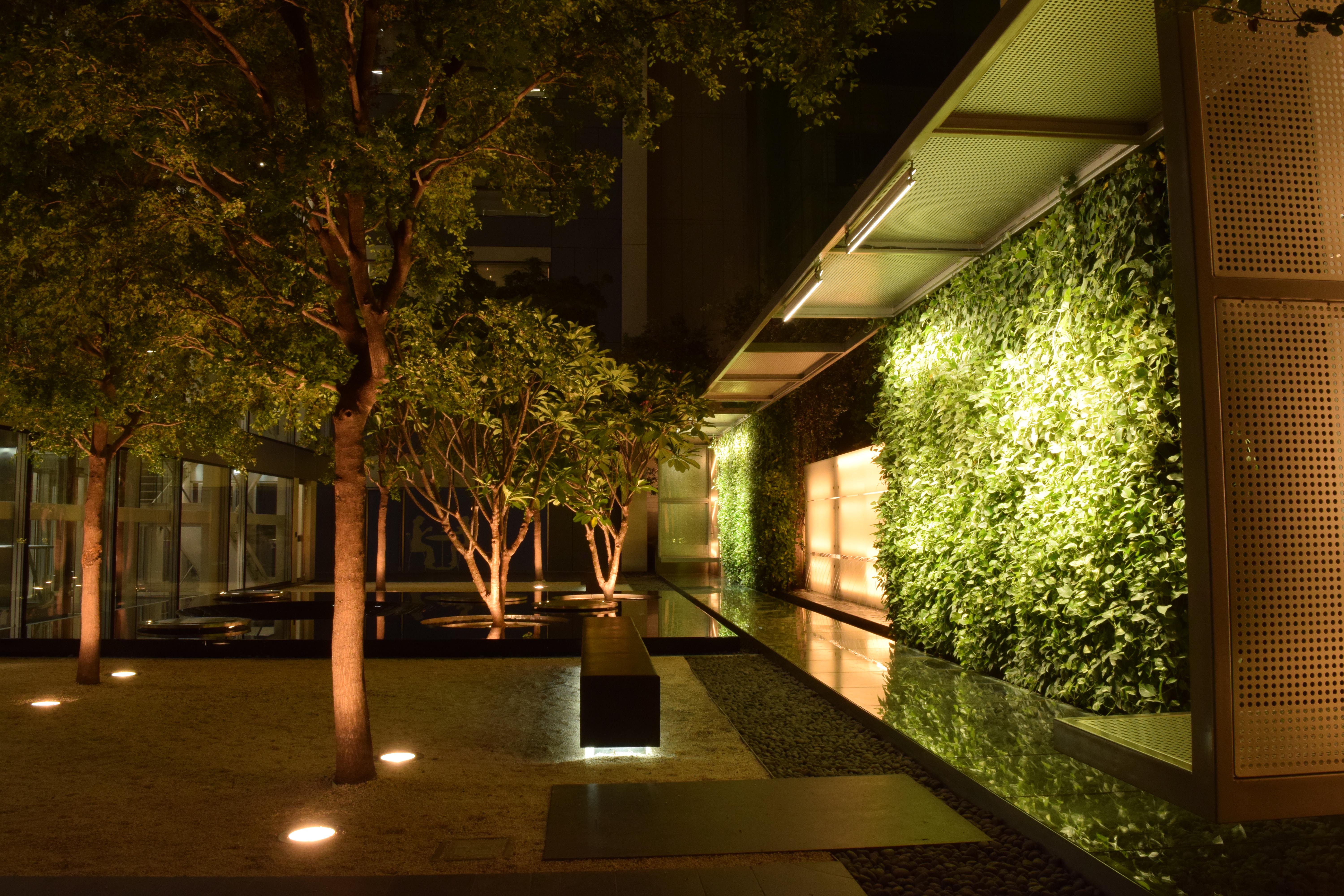 绿意盎然的城市花园-32