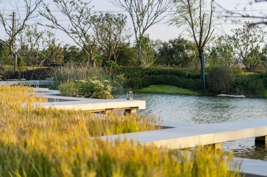 设计改变城市DNA | 上海之窗 · 智慧科学城-118