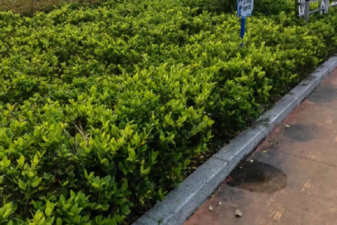 从竞赛图纸到童趣天地——省级创新设计二等奖“邻里八音盒”桥下空间已落地生根-28