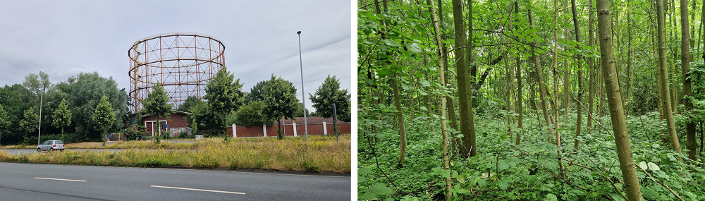 丨德国明斯特丨Team Inside Outside（Jana Crepon等）-28