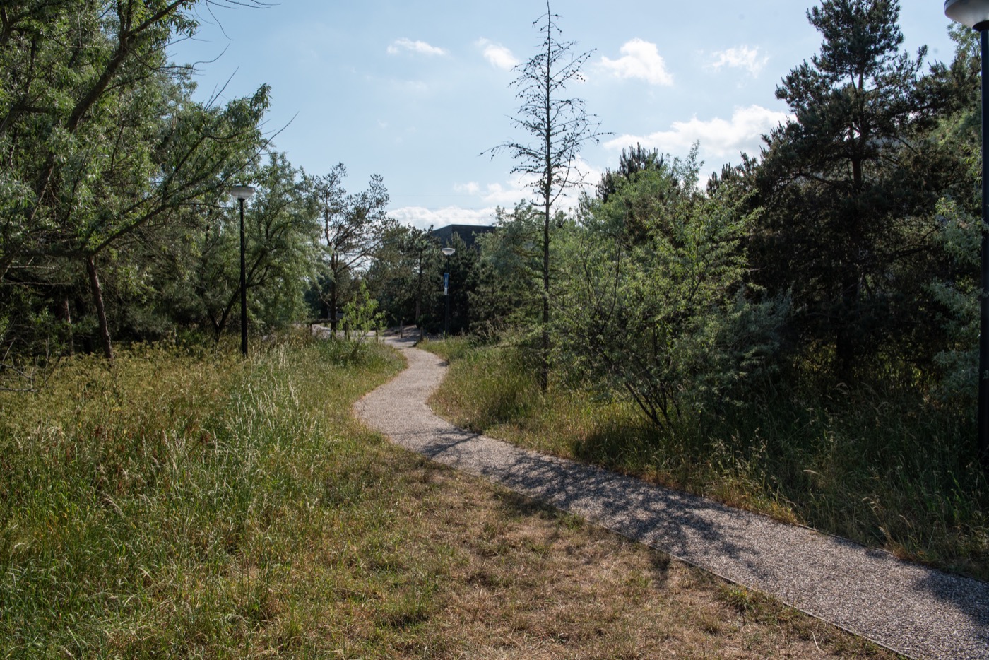 阿姆斯特丹 Rieteiland Oost 岛屿社区-6