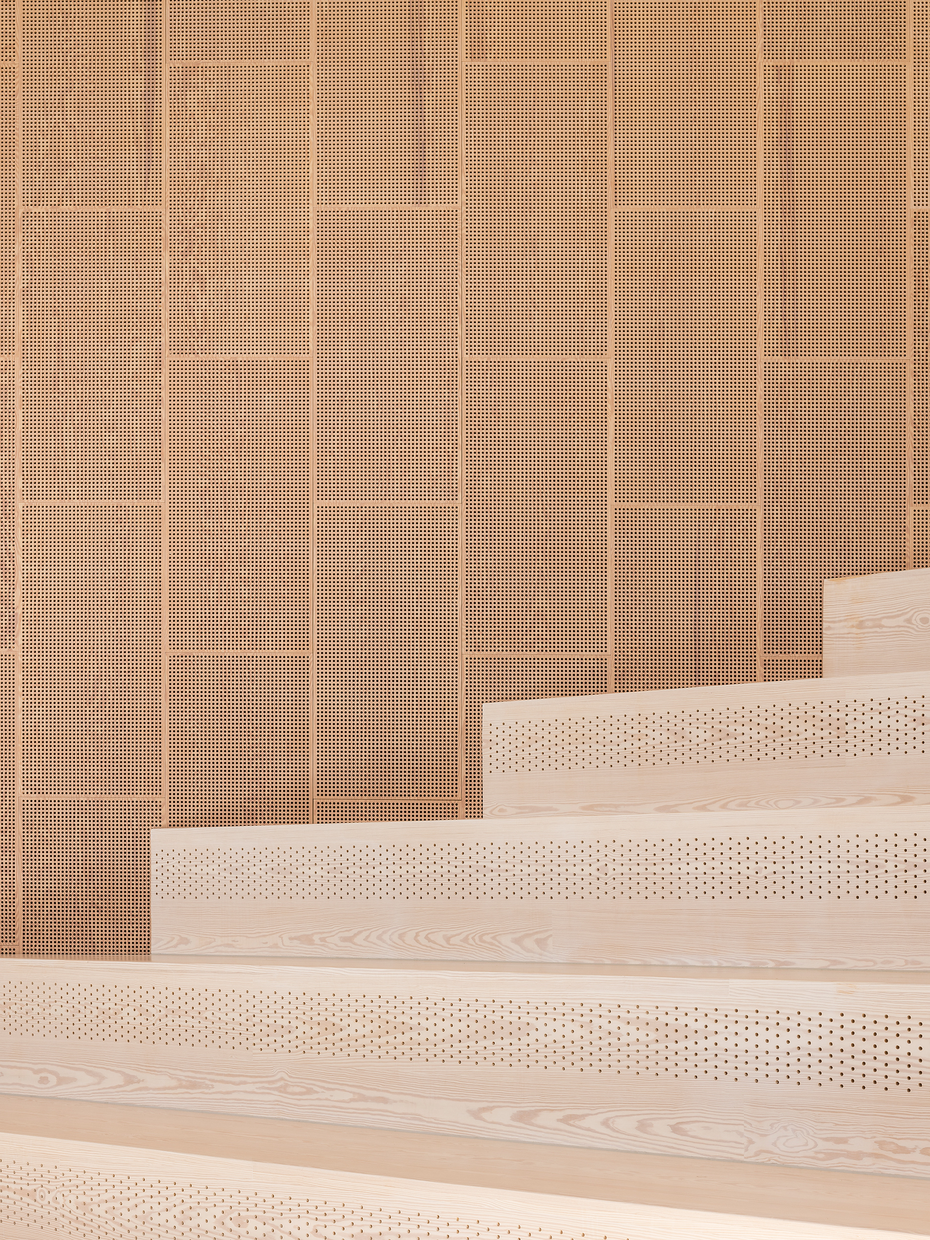  Islands Brygge 岛上的学校丨丹麦哥本哈根丨C.F. Møller,TREDJE NATUR-36