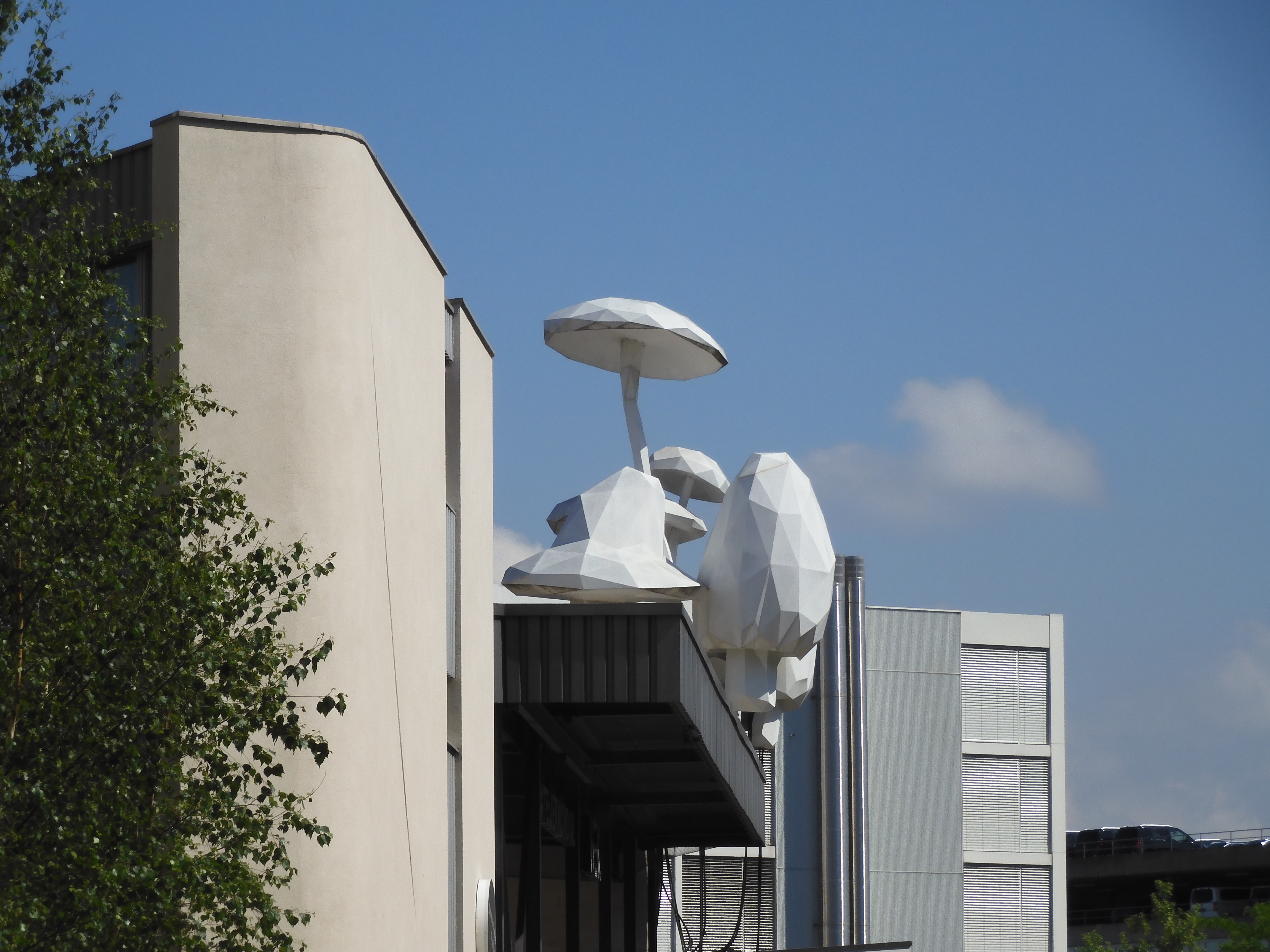 Dreispitz区域改造及建筑项目丨瑞士-25