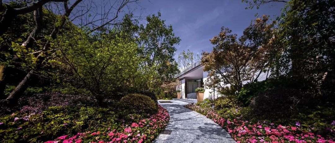 狭长夹缝中的隐谧花园 | 龙湖华董·春江天玺-47