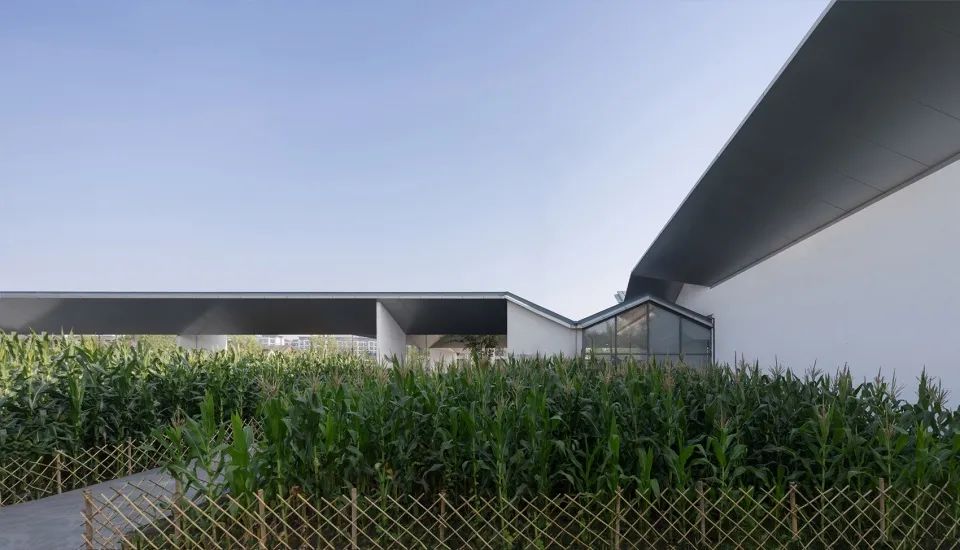 Comico 美术馆由布院新馆丨日本丨隈研吾建筑都市设计事务所-45