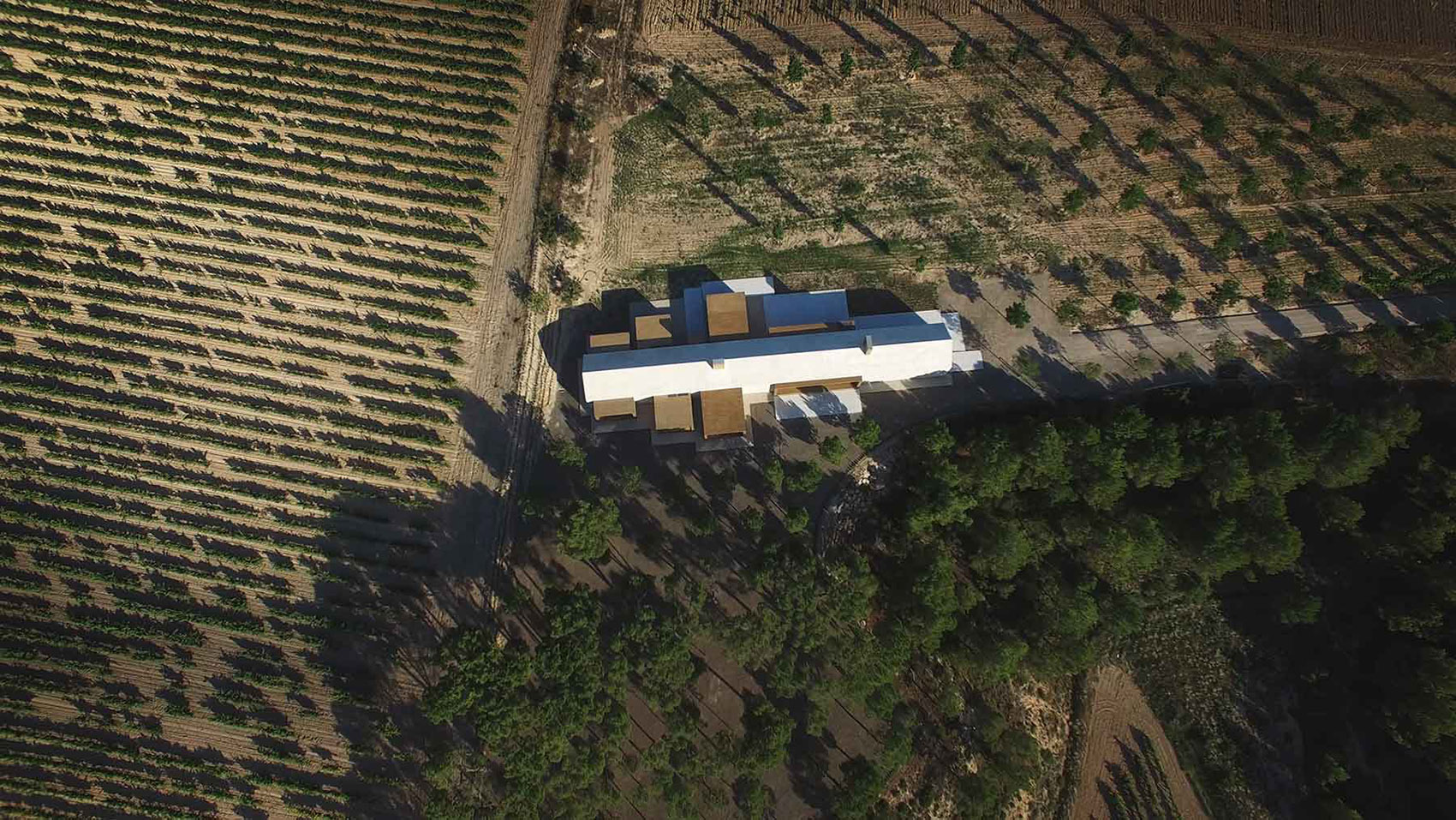 葡萄园小木屋，西班牙 / Ramón Esteve Estudio-3