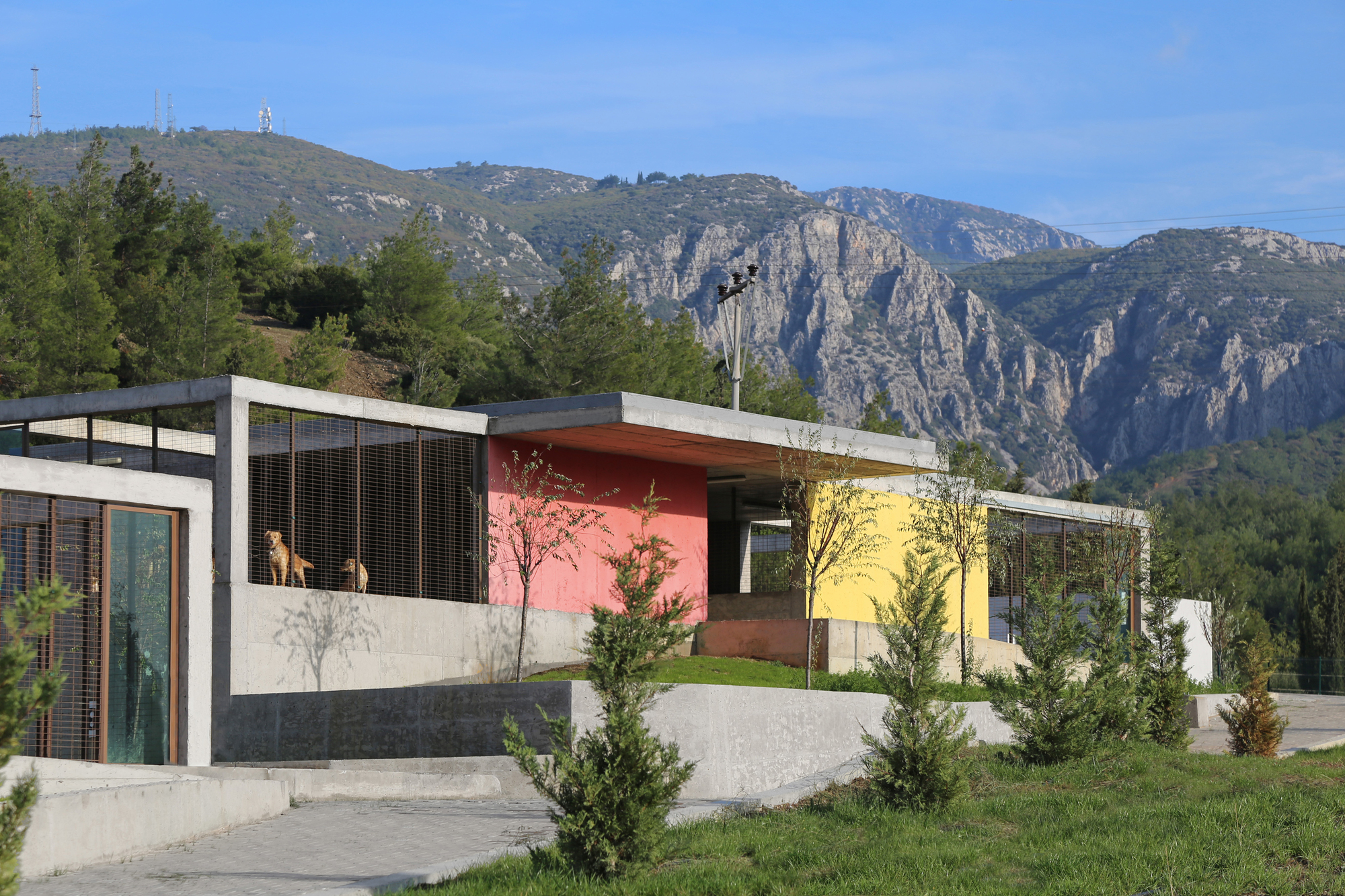 Pako Street Animal Social Life Campus / Mert Uslu Architecture-12