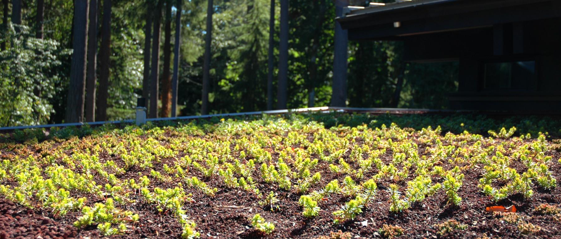 天窗；高侧窗丨Indigo Architecture & Interiors-12