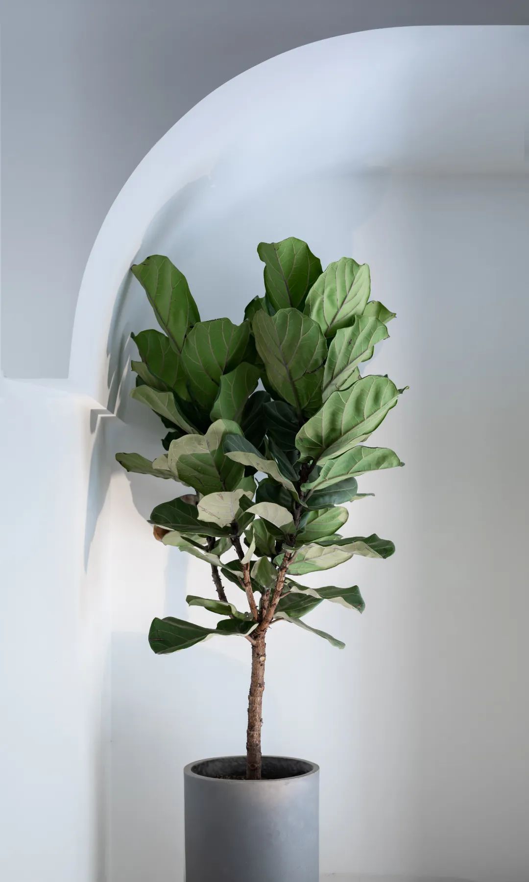 淮安观恒设计办公室 | 极简缀红,艺术空间的典范-21