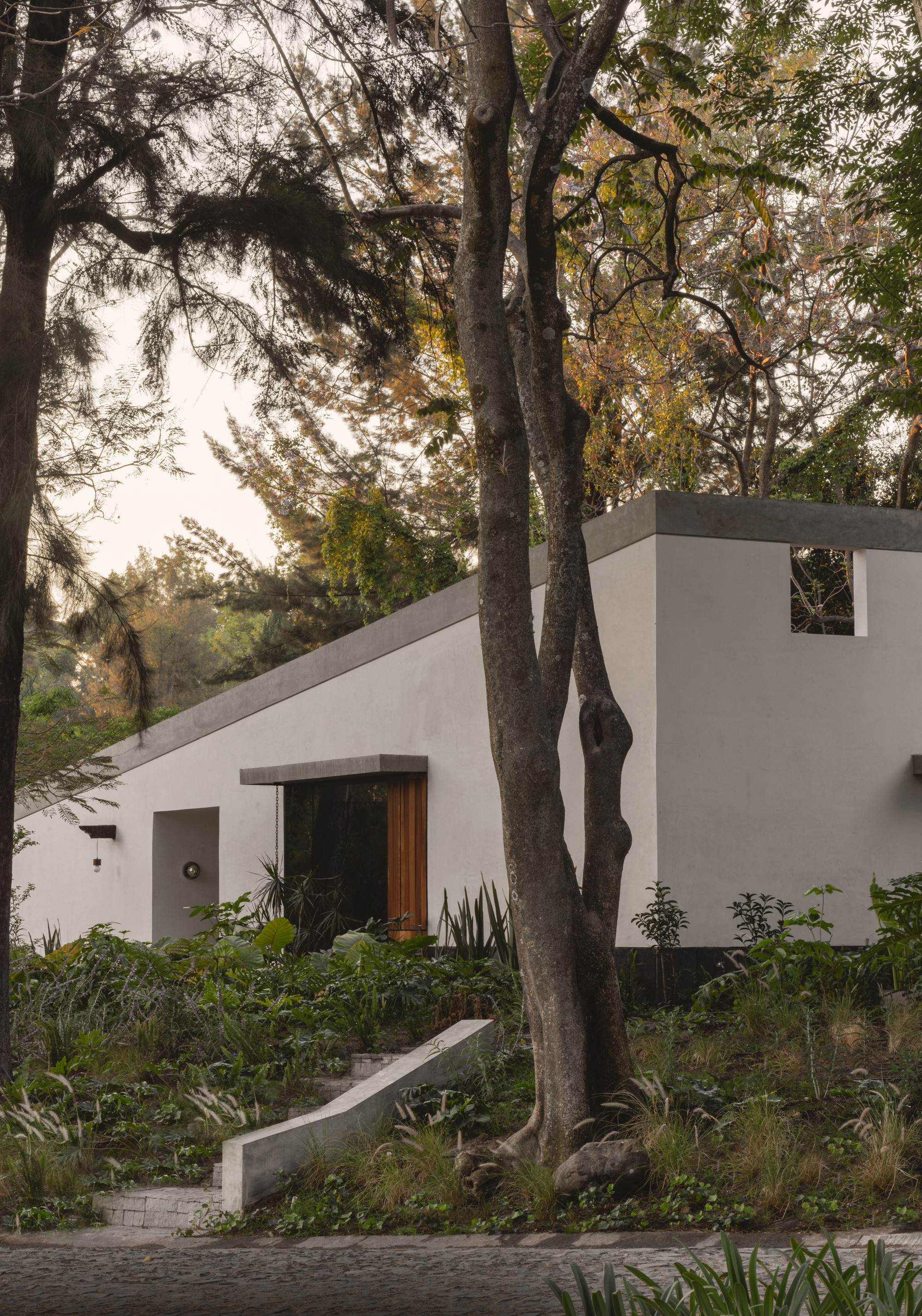 丨墨西哥墨西哥城丨Estudio Radillo Alba-29