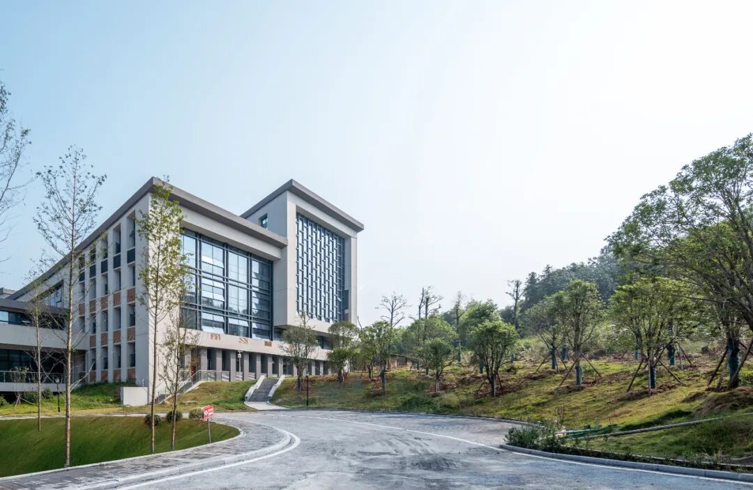 湖大设计丨传统书院的现代转译——长沙幼儿师范高等专科学校图书馆-58