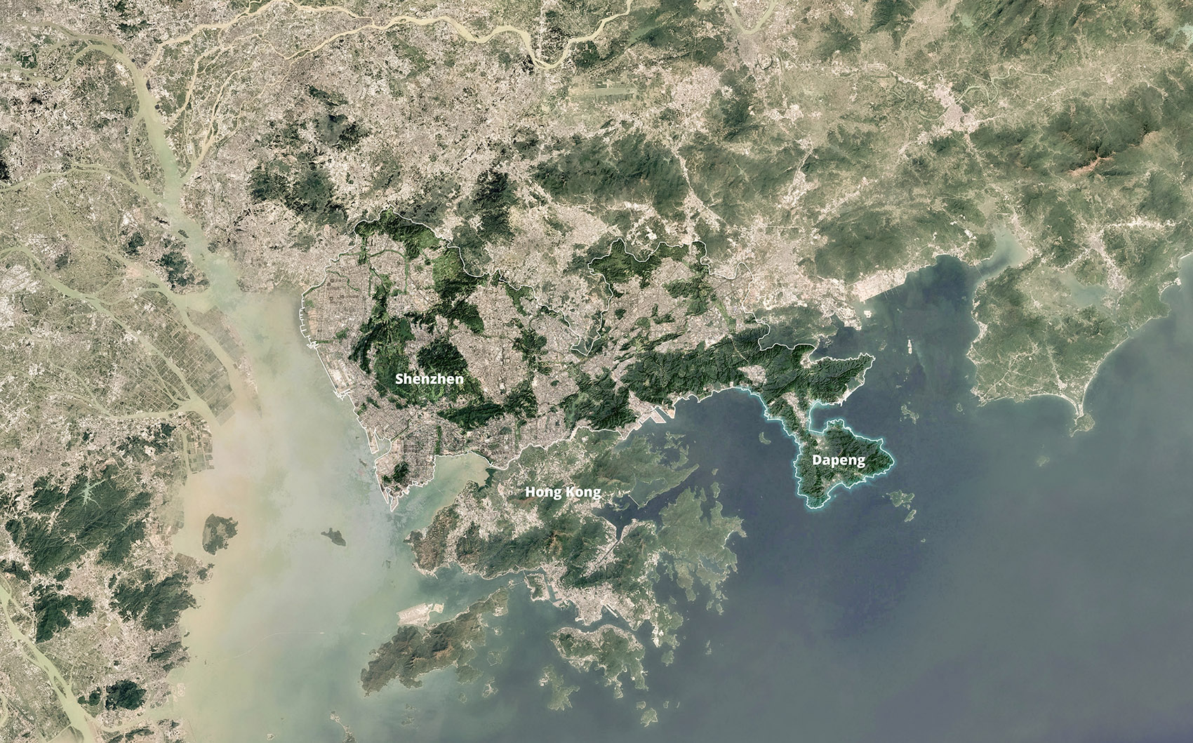 KCAP + FELIXX 赢得深圳东部海堤重建竞赛,提出“三重海岸防线战略”-2