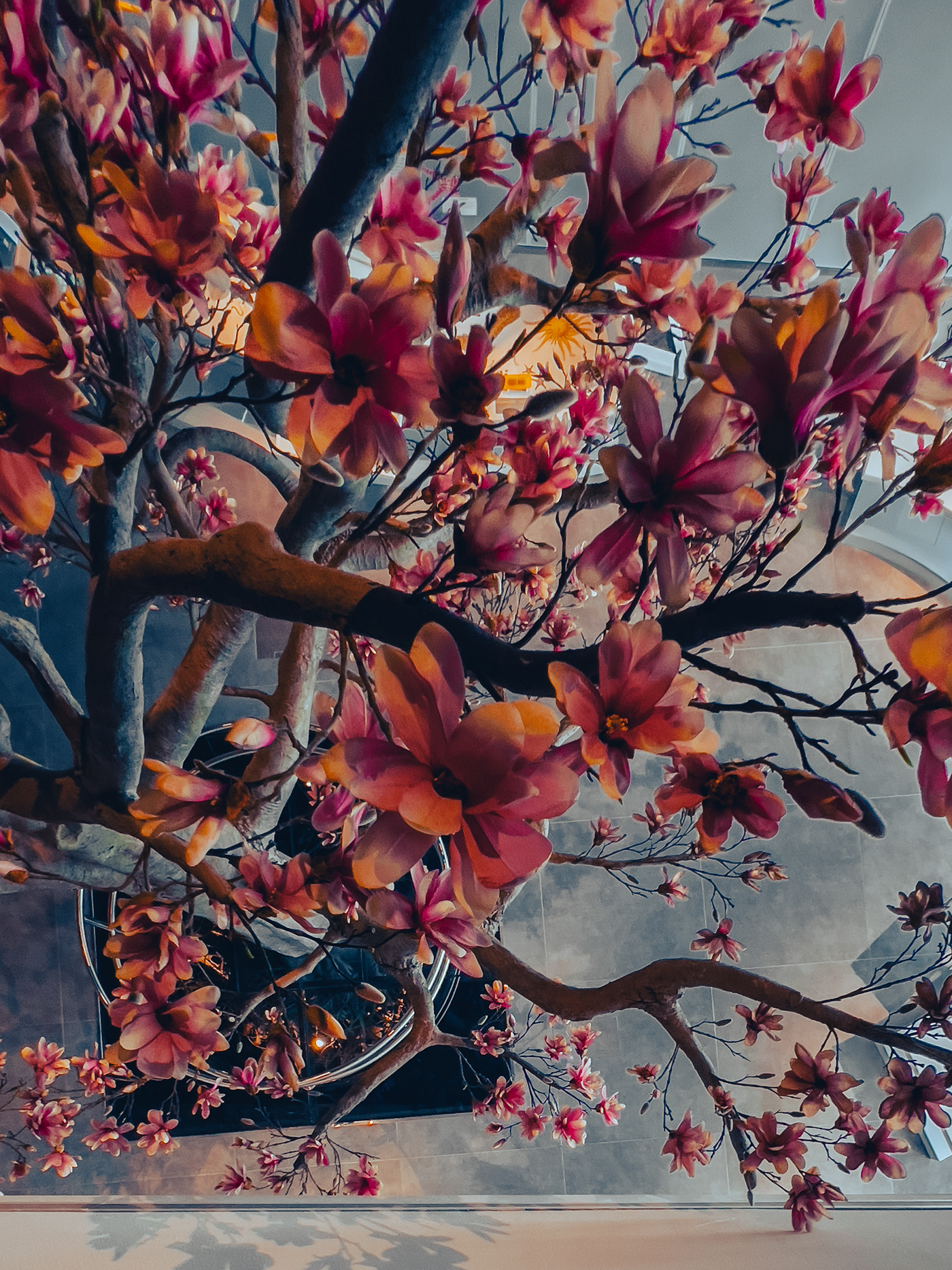 Culture, architectural photography, iPhone Photography-4