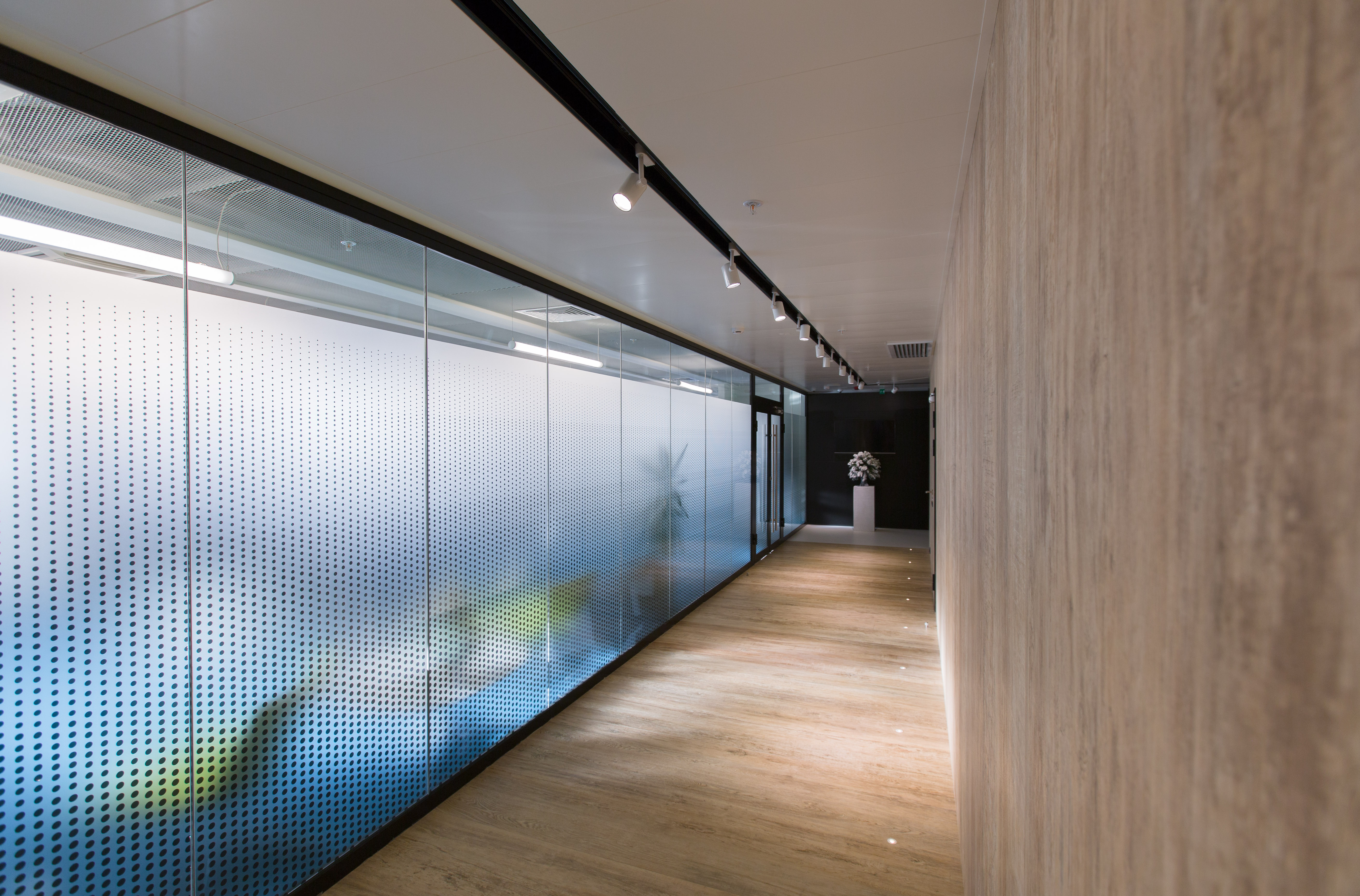 俄罗斯 MRTS 公司办公室——自然与科技的和谐融合-46