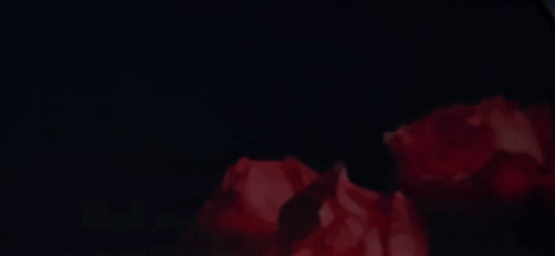 曾建龙打造花禾牛浦东店 | 红艳空间里的美学盛宴-36