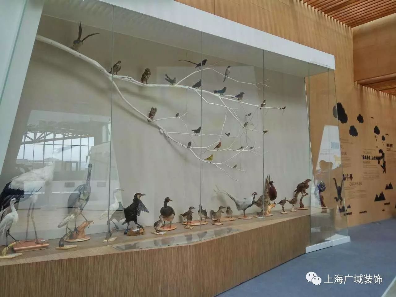 归来不看岳------广域装饰之黄山城市展示馆项目-24