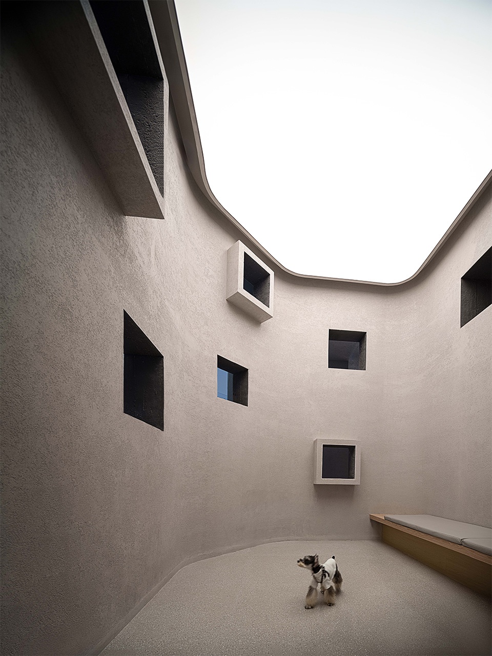 TWO TAILMATES小狗客厅丨中国武汉丨本样设计-39