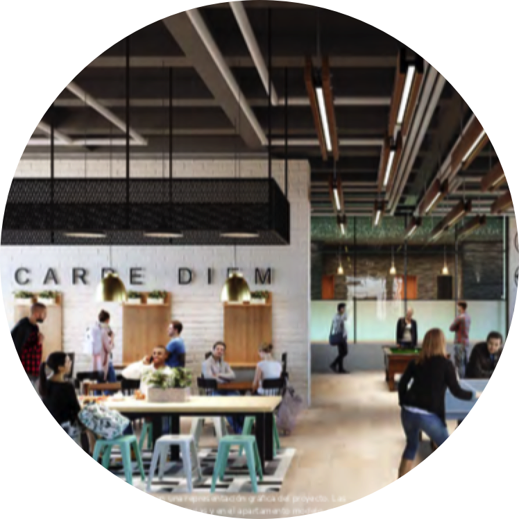 奇塔利娅·电路丨circuíto-13