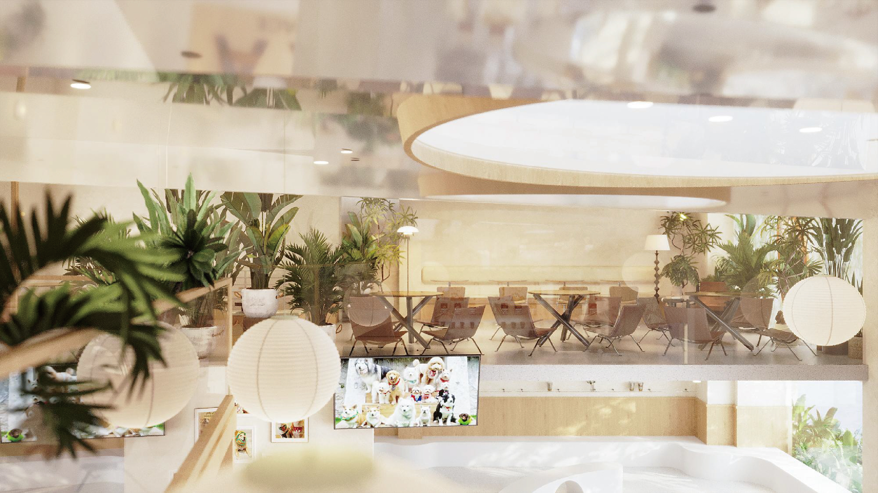 DOKA（厦门店）丨中国厦门丨策设天合-26