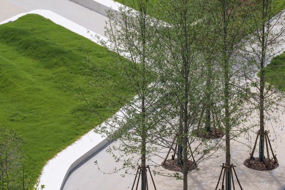 常州合全药业研发园区景观设计丨中国常州丨上海易栖建筑设计有限公司-48