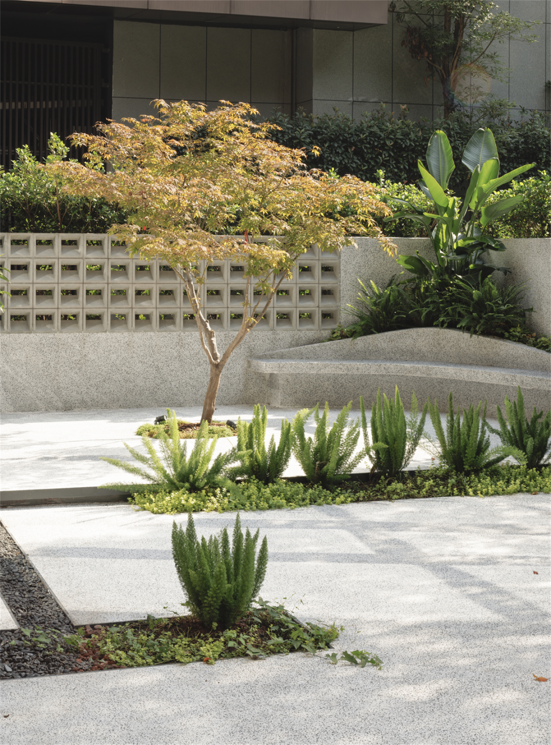 汪星人科科和臭臭的亲密无间家园丨中国重庆丨重庆微观室内设计有限公司-44