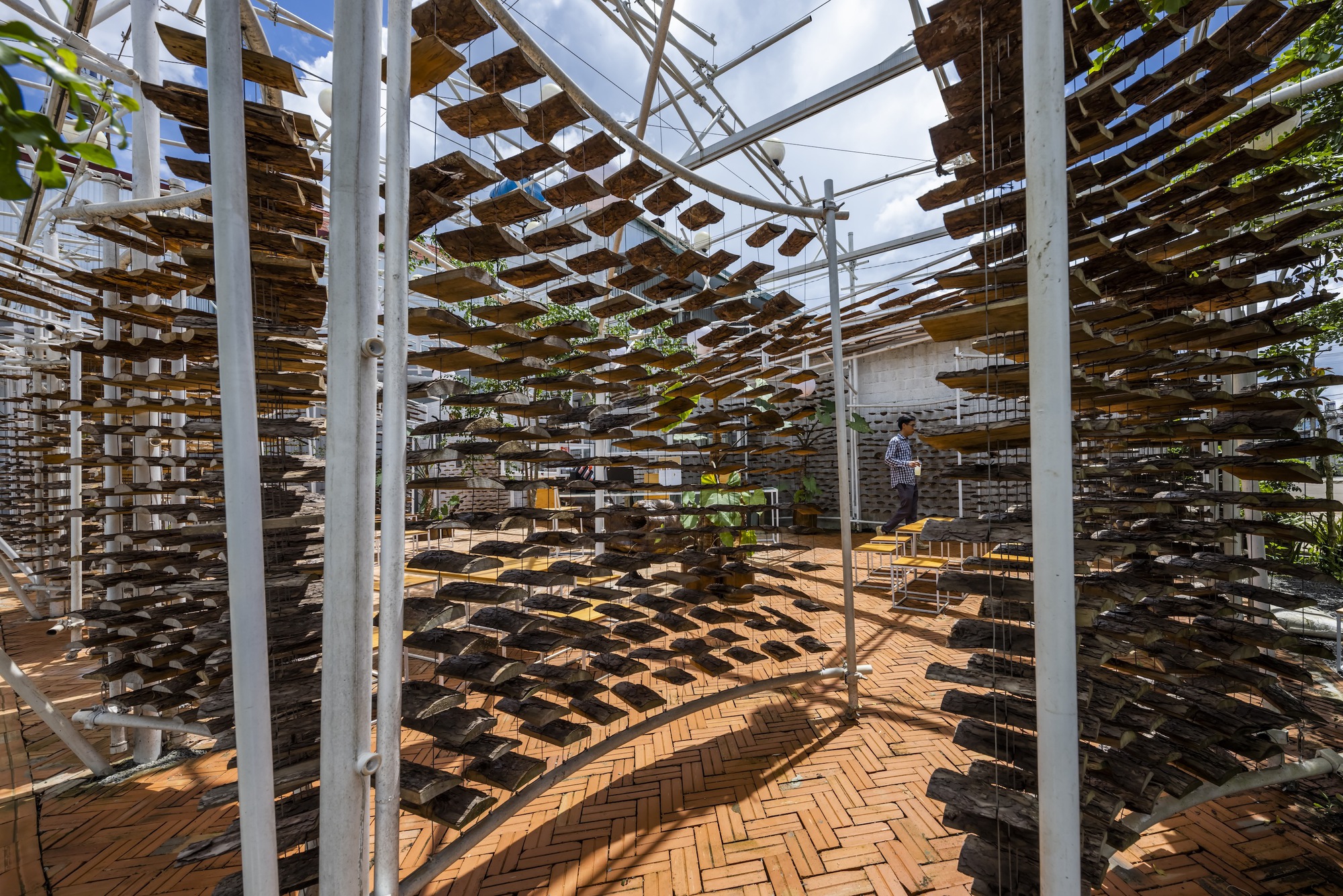 采茶，开花丨越南-19