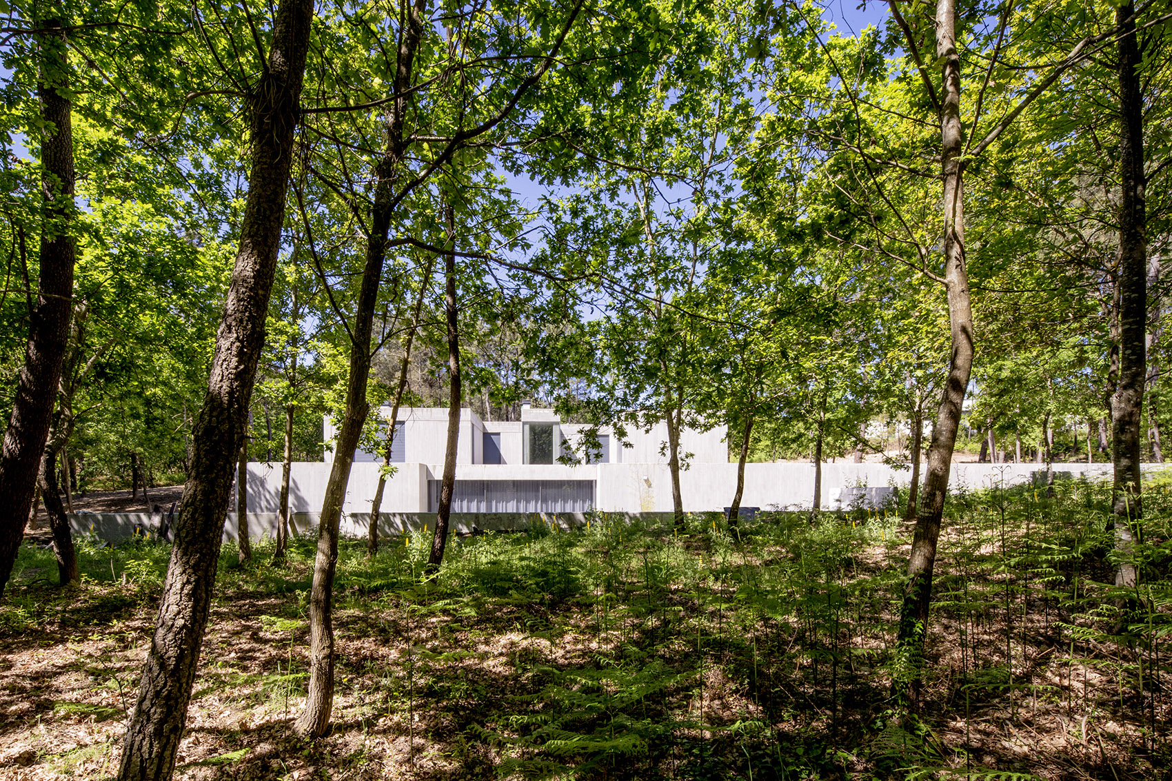 隐于自然的混凝土住宅,葡萄牙/ waataa-3