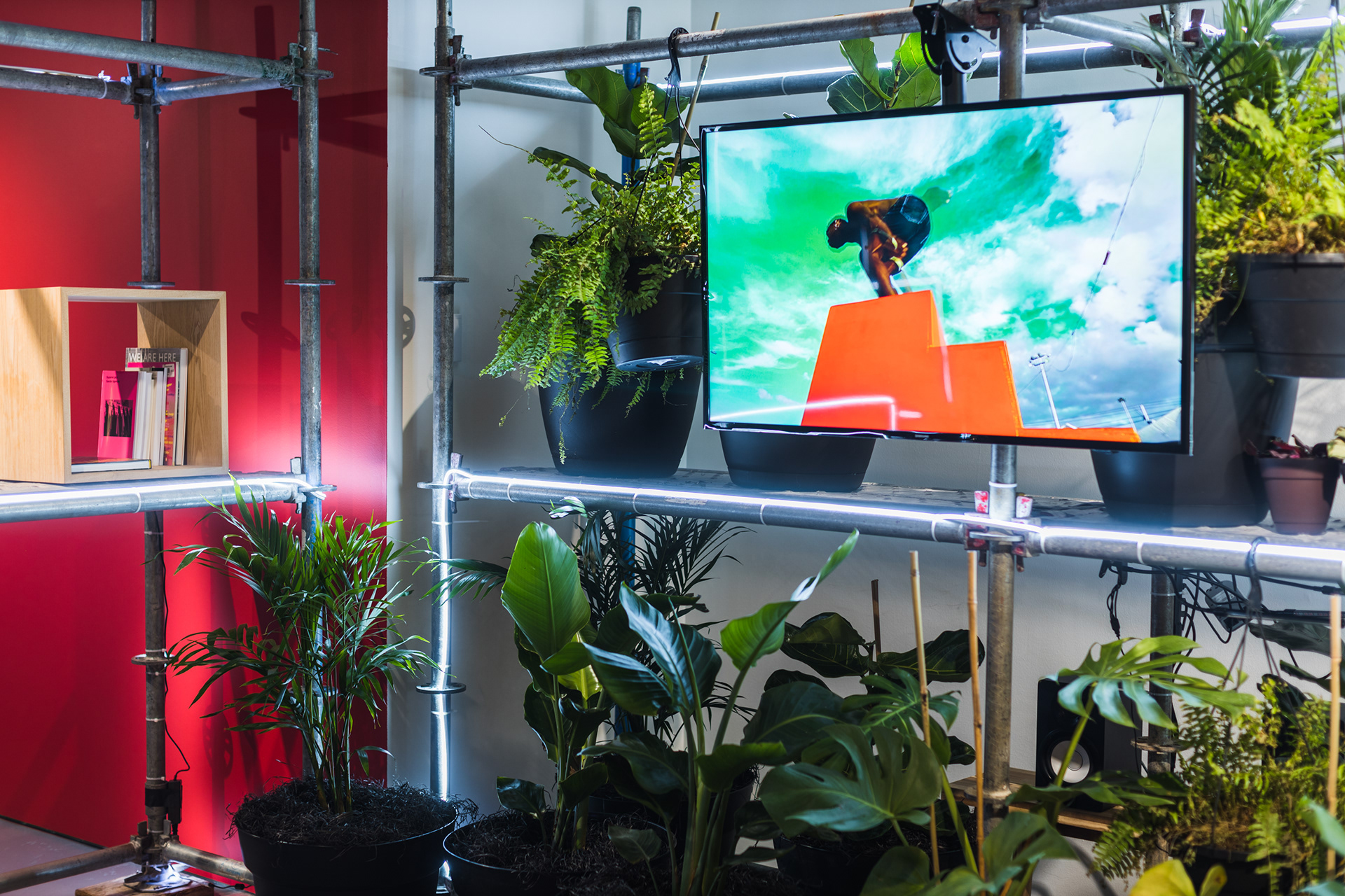 Healing a Broken World 展览设计丨Bijari 团队-11