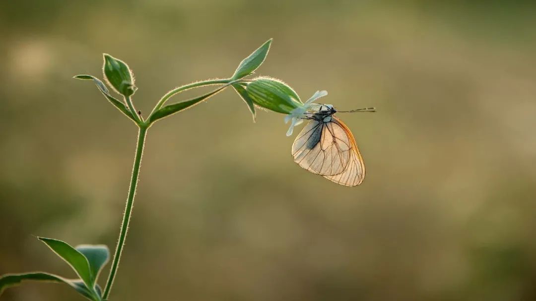 与自然和谐共生的茏腾生态馆-35