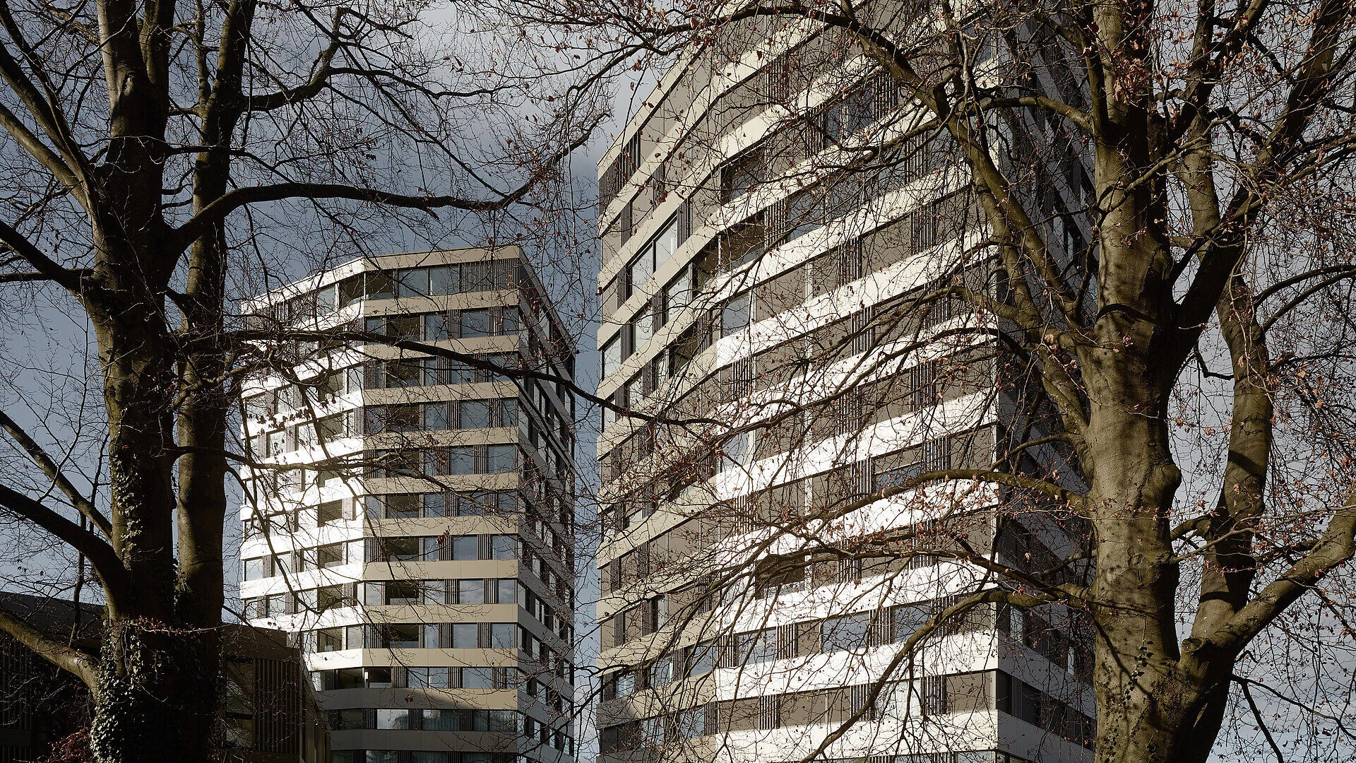 双塔晶莹·瑞士 Cham 公寓楼-10