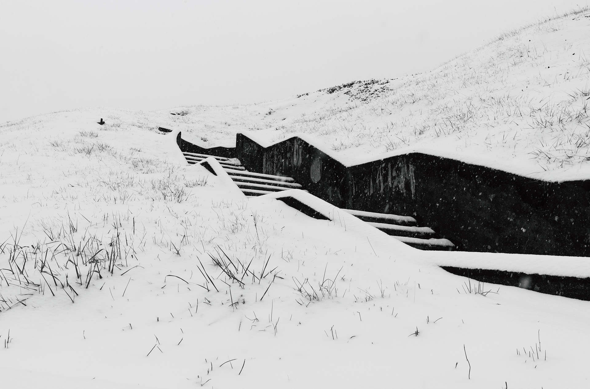 Knoxville, TN (USA).-62