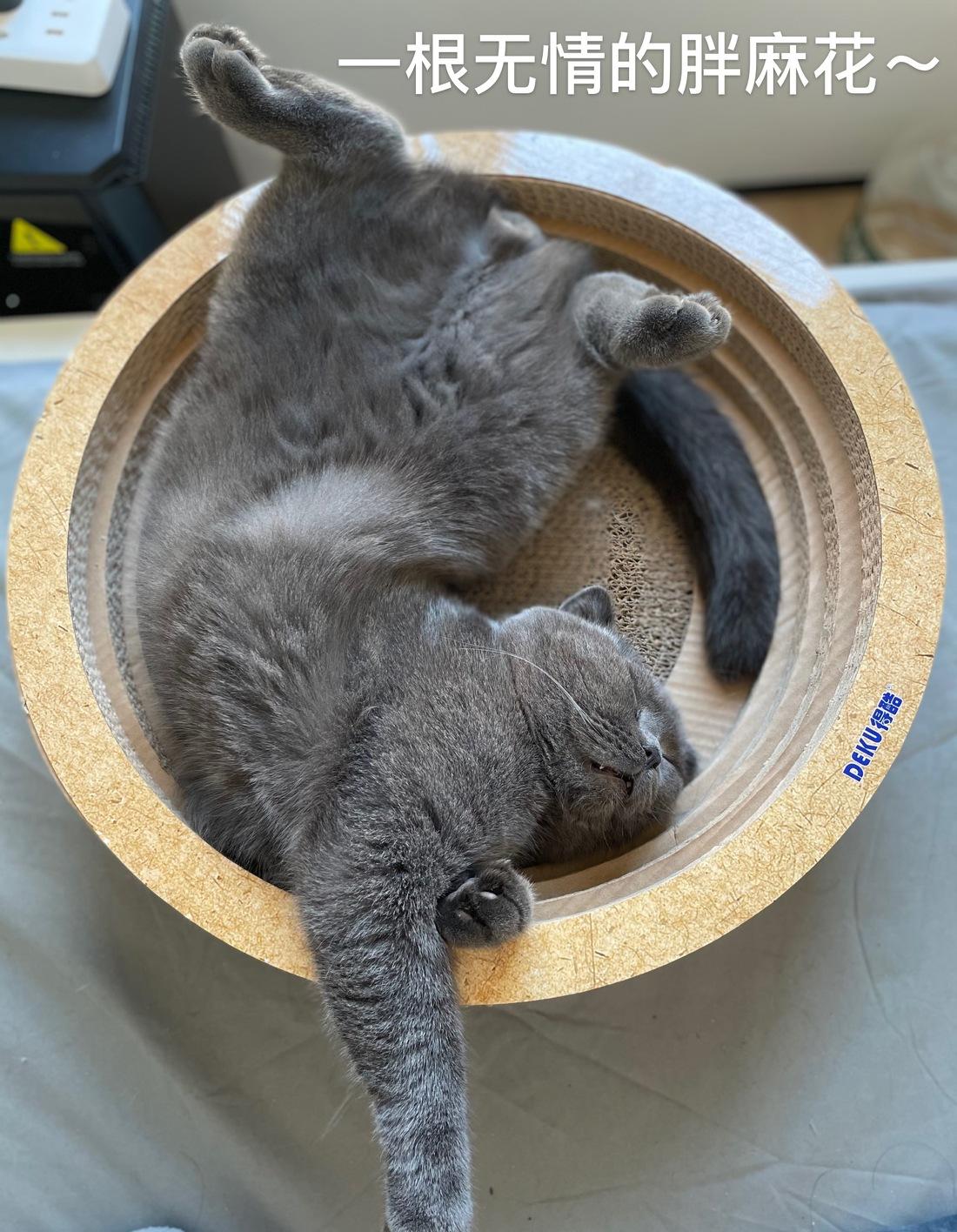 喵星人的简约温馨小窝-55