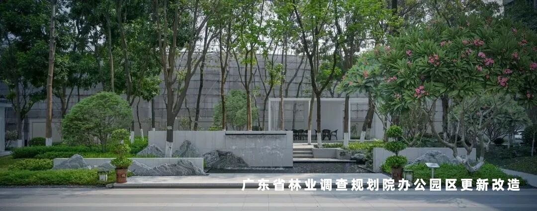 广宁竹海公园|构建绿美竹韵之路-92