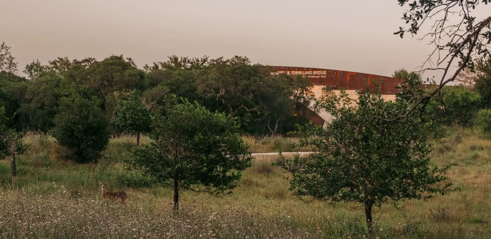 罗伯特·L·B·托宾跨桥丨美国丨STIMSON + Rialto Studio-43