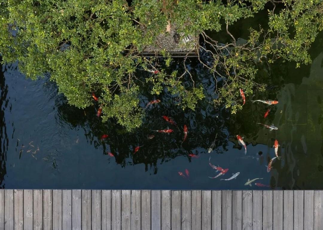 福州私宅别墅丨中国福州丨DCD 大成设计-50