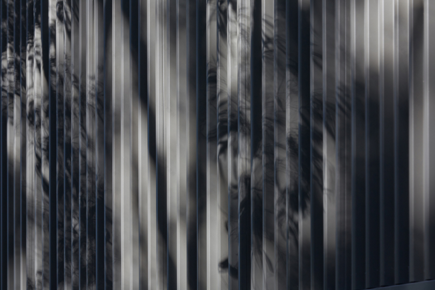 Hidden House / Archterra Architects-36