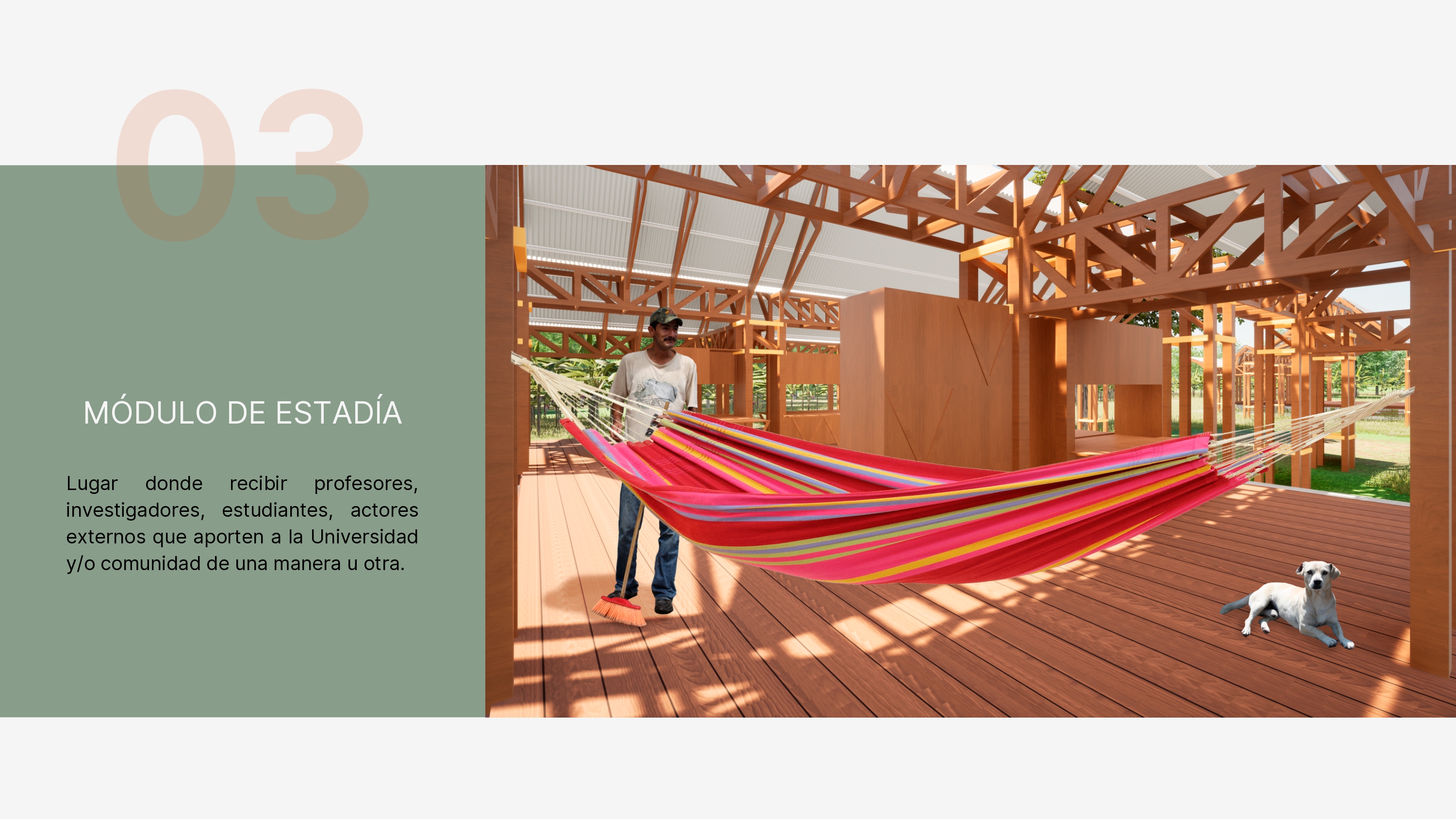 CC·诊所·项目·大学·和平-25