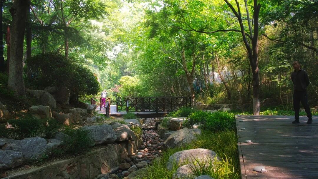 百姓乐园：榉林山焕新归来，悦享自然人文之美-45