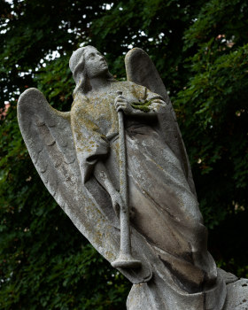 Cementerio de Vitoria Parte 1