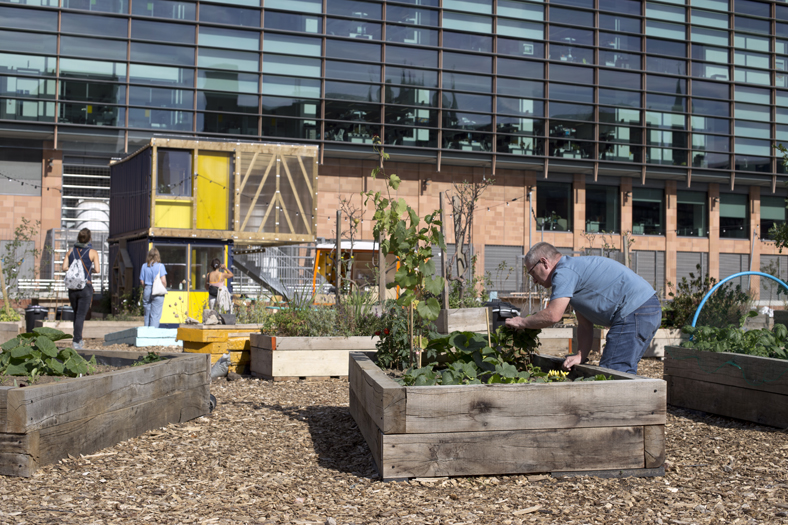 故事花园丨Jan Kattein Architects-10