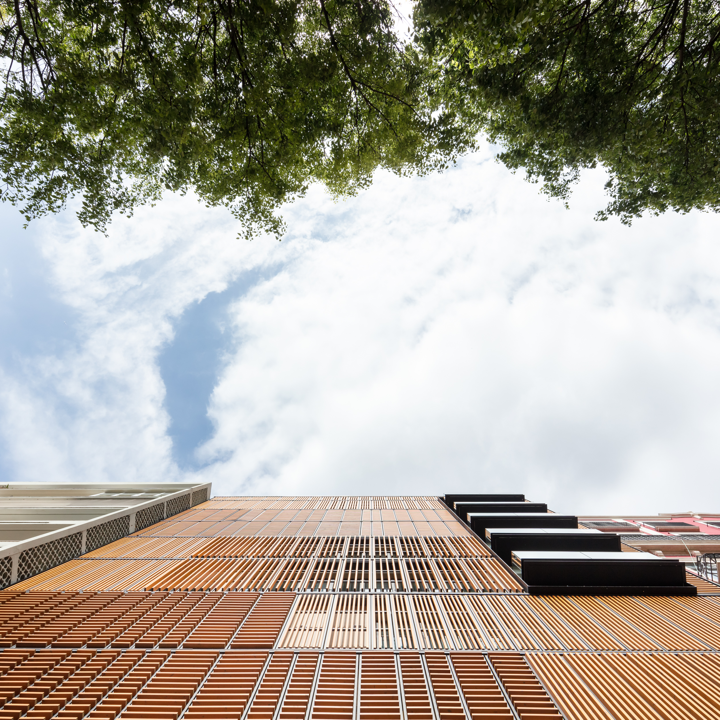 Lisbon Wood | Plano Humano Arquitectos-23