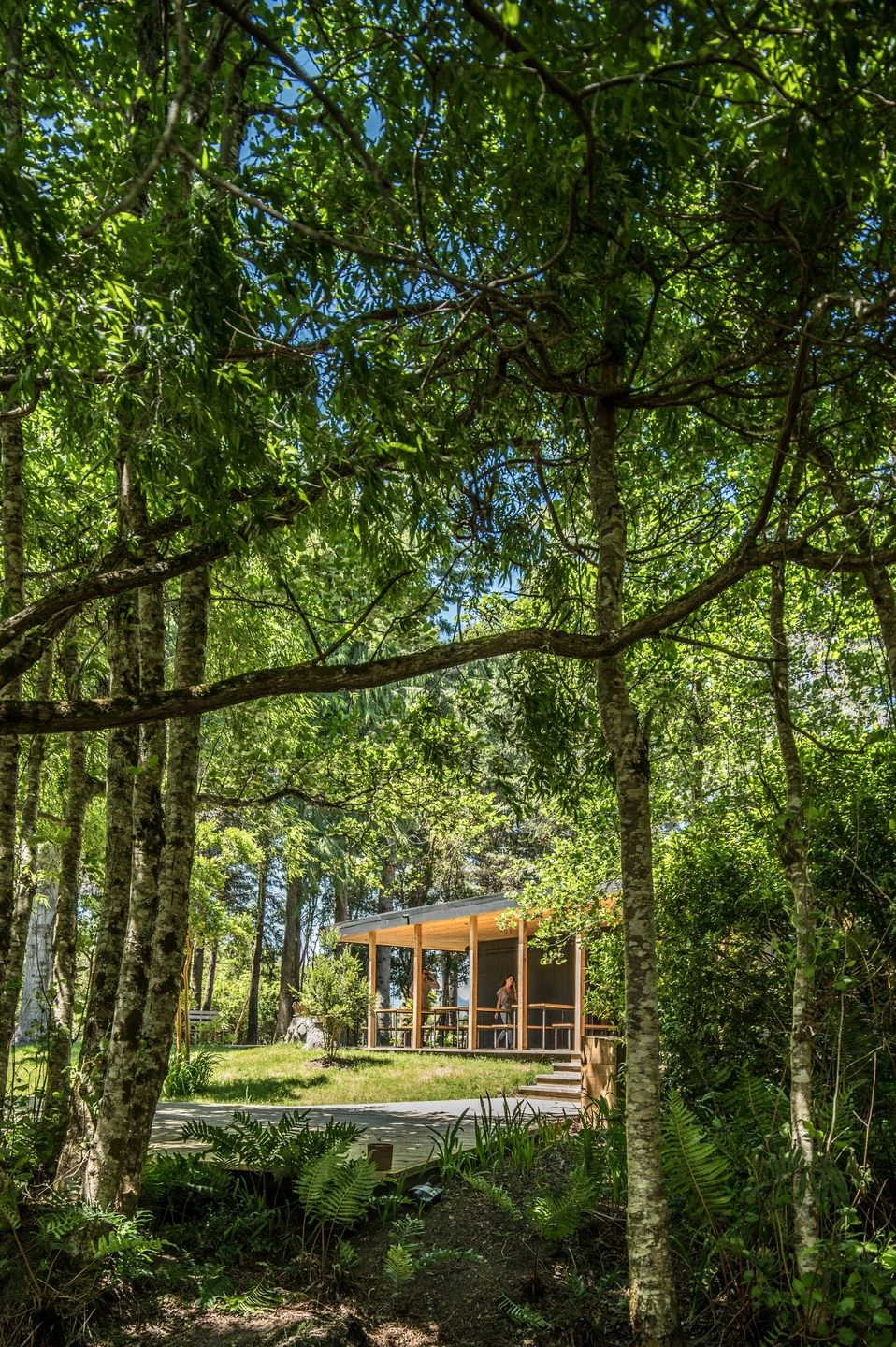 智利湖畔森林中的舒适用餐空间-26