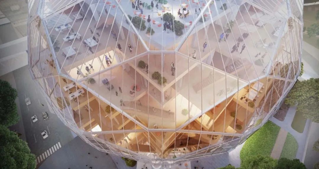 发现伙伴研究所丨OMA-15