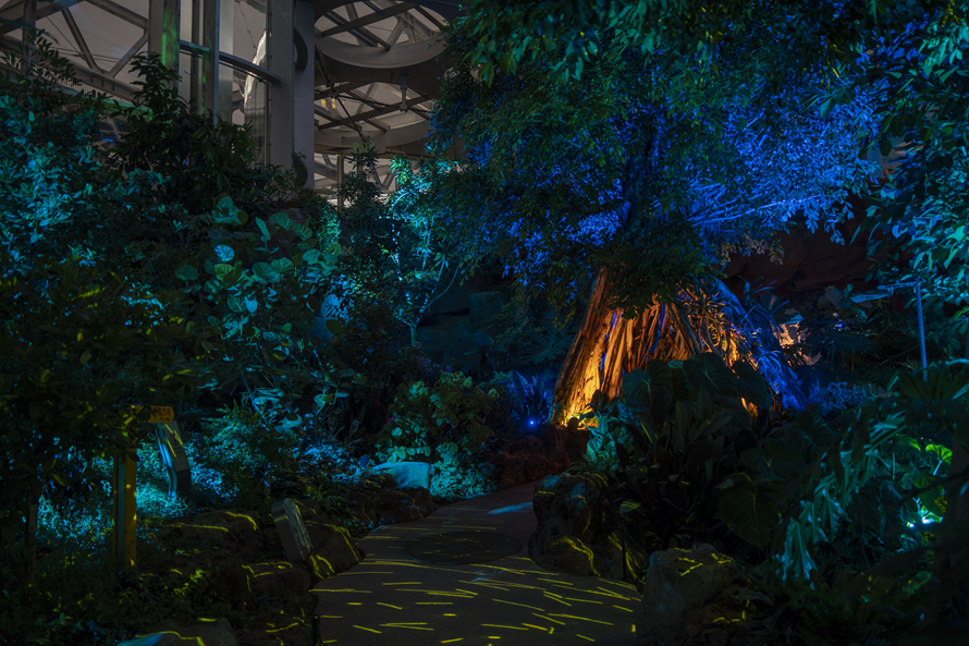 世博文化园温室植物园夜游照明设计丨RDI瑞国际照明设计-15