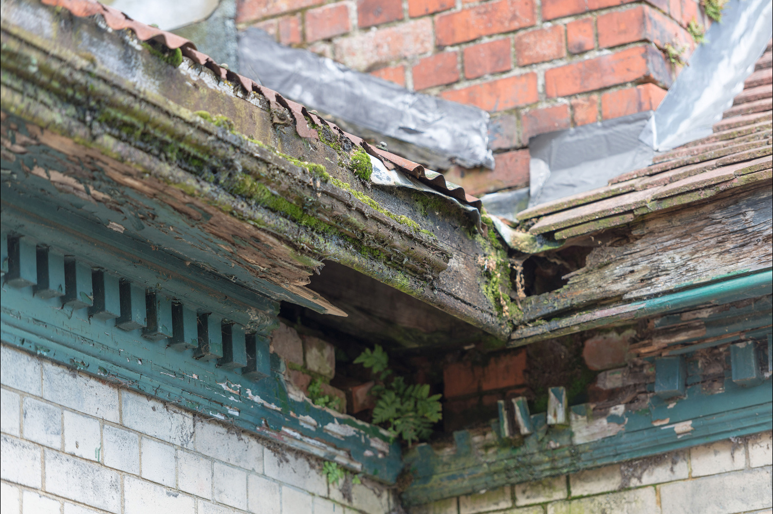 泰晤士河丽都（Thames Lido）-43