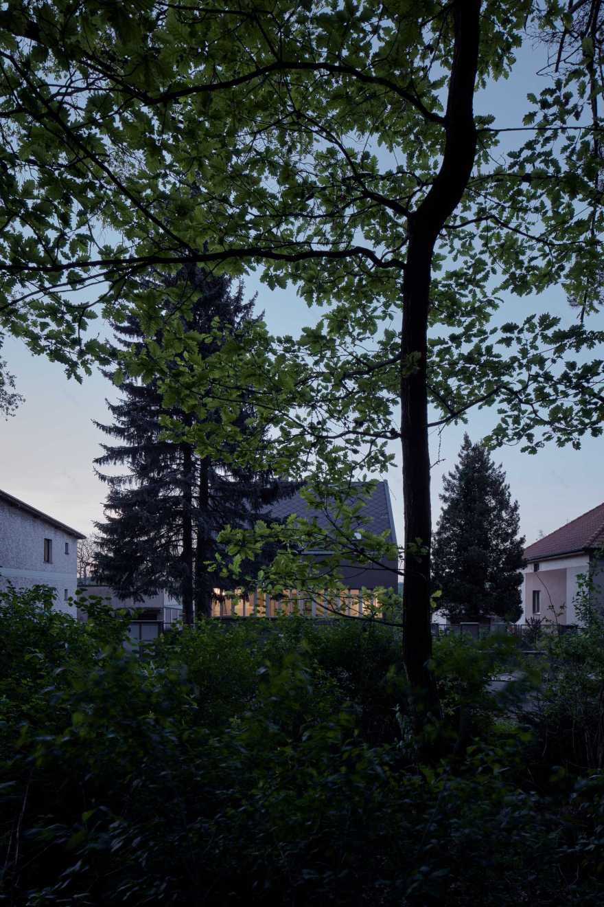 house by the forrest-0