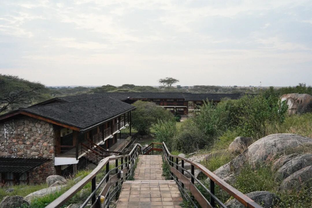 非洲考察2|坦桑酒店探访-78