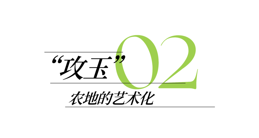 兰溪金角滩公园丨中国浙江-19