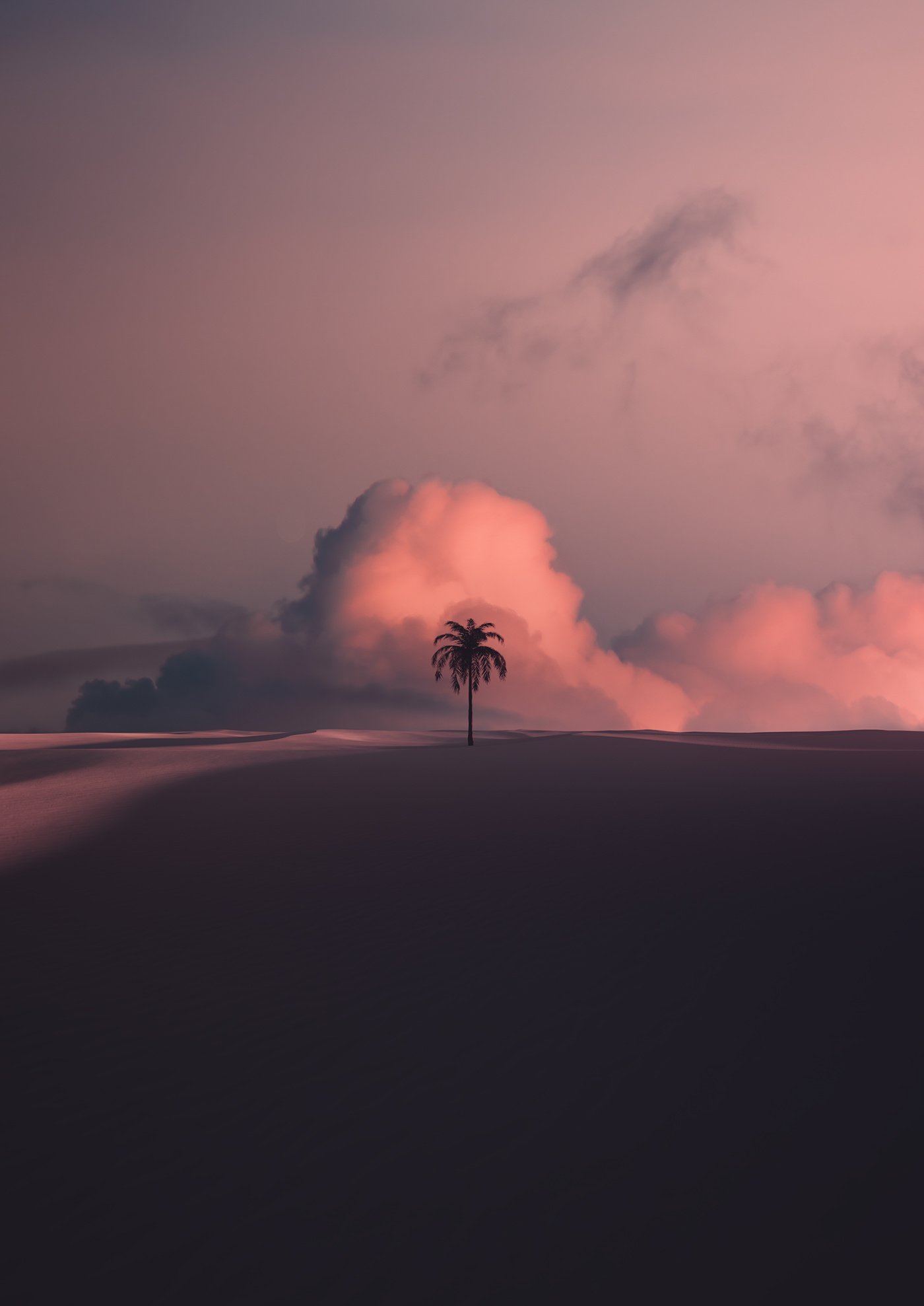 梦幻沙丘 II · 沙漠风情室内设计-7