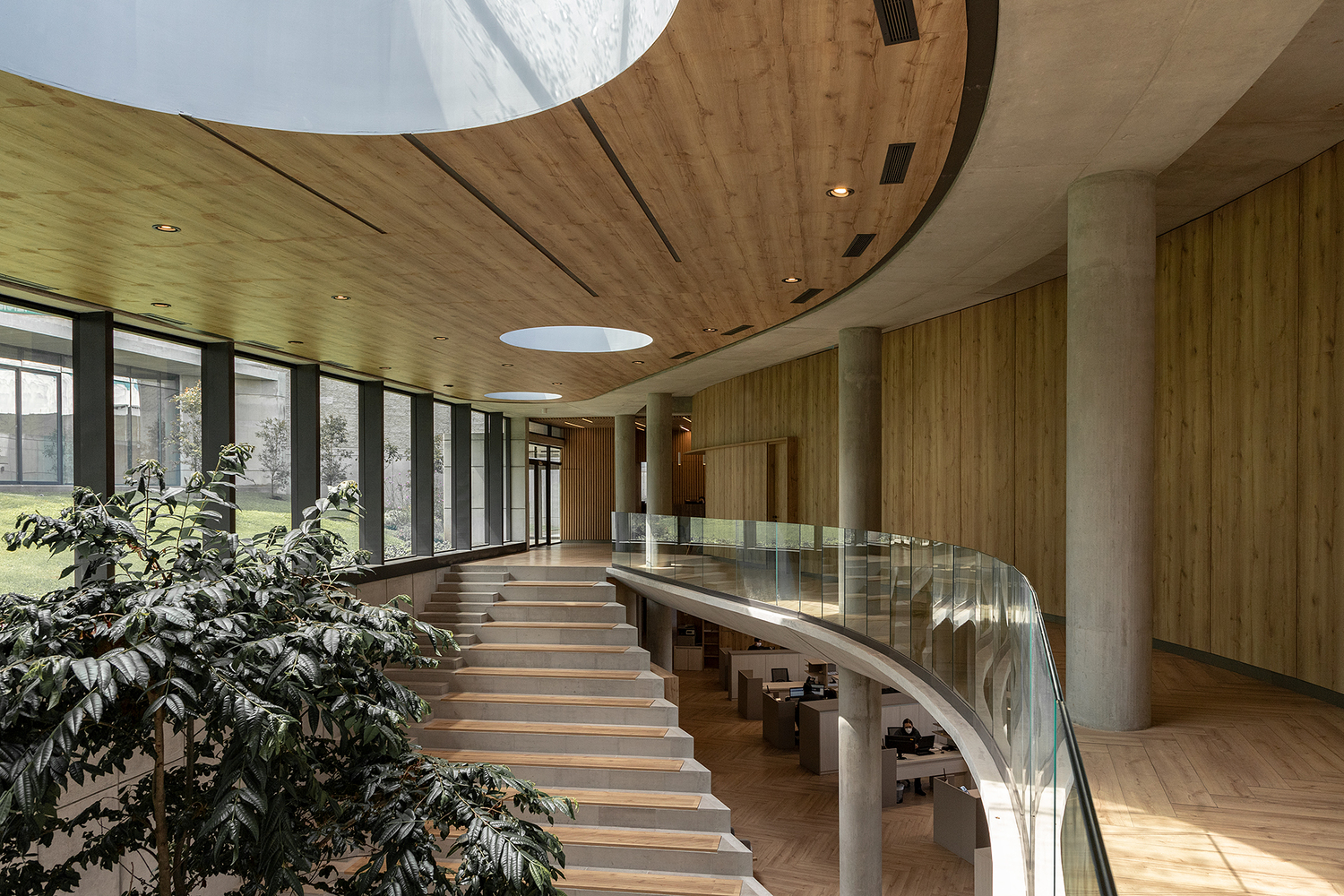 诺沃潘办公室丨厄瓜多尔丨Diez + Muller Arquitectos-36